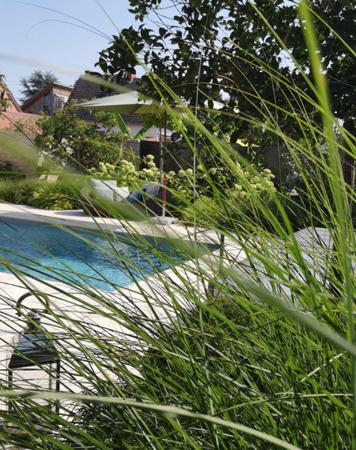Üppiges grünes Gras umrahmt einen ruhigen Swimmingpool in einem ruhigen Außenbereich, umgeben von leuchtenden Pflanzen und einem klaren blauen Himmel.